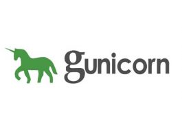 Key-Metrics-And-Best-Practices-To-Follow-With-Gunicorn