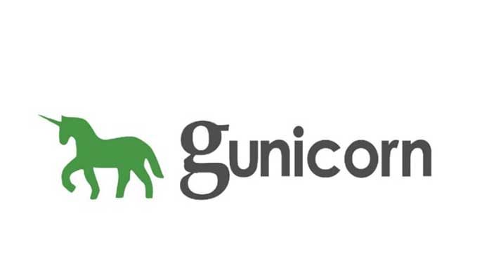 Key-Metrics-And-Best-Practices-To-Follow-With-Gunicorn