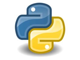 What-Is-Python-And-What-Is-It-For