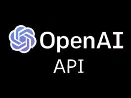 What Can We Do With The OpenAI API